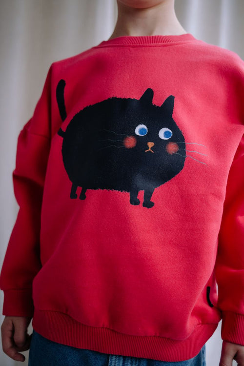 Meows-a-lot cropped sweater