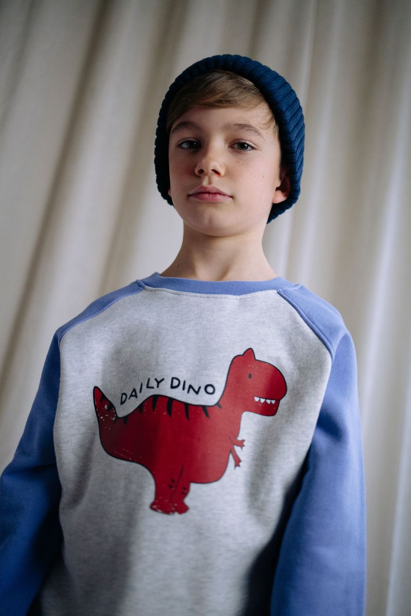 Daily dino sweater