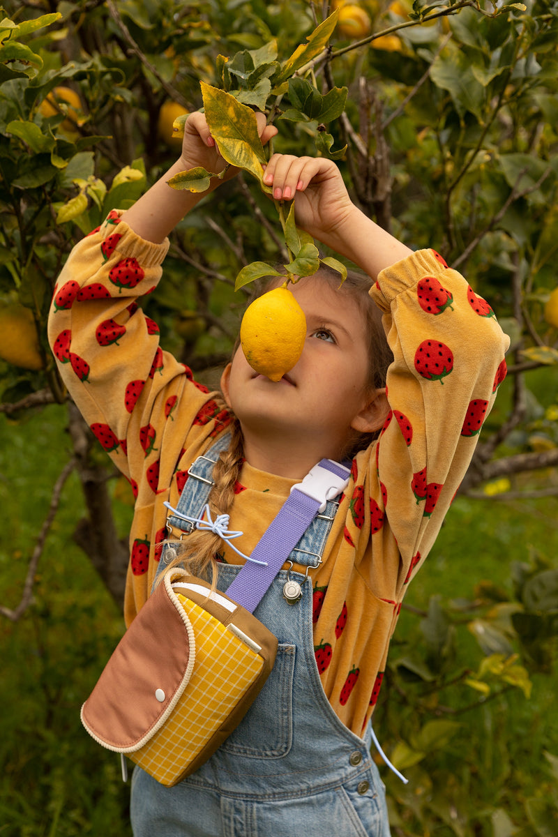 Sticky Lemon Farmhouse small fannypack – Les Petits Voyous