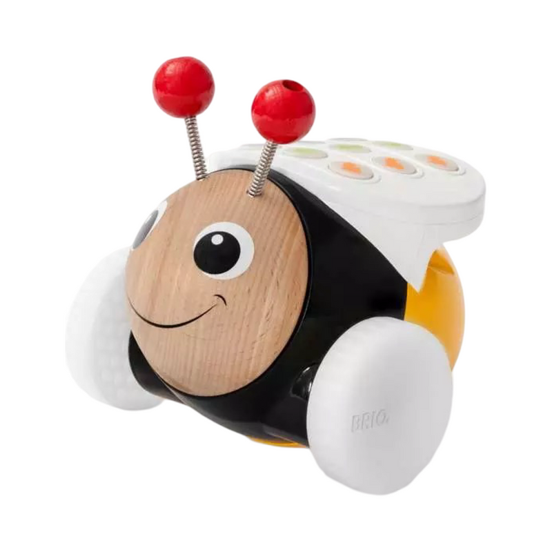 Code & Go Bumblebee