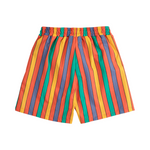 Multicolor stripes swim board shorts