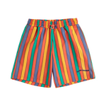 Multicolor stripes swim board shorts