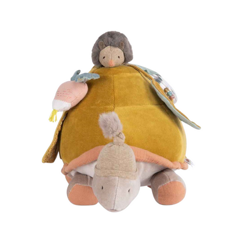 Grande tortue d'activité