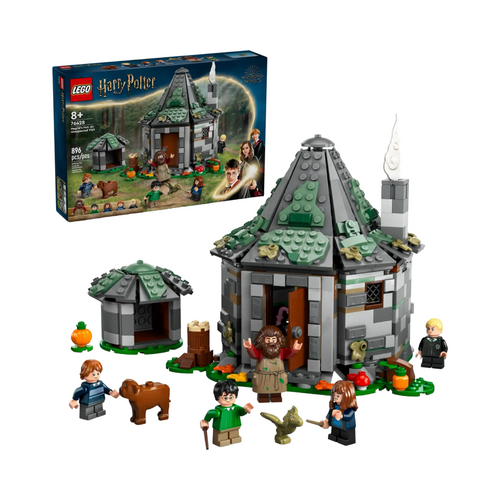 Hagrid's hut: An unexpected visit