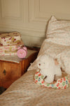 Madeleine puppy