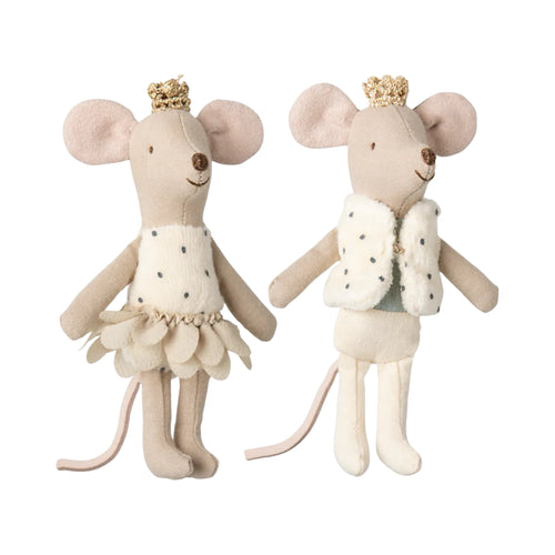Little brother and sister royal twins in box