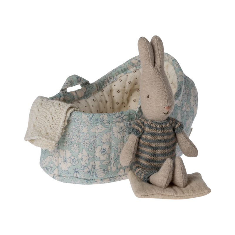Micro rabbit in carry cot