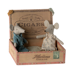 Grandma and grandpa mice in cigarbox