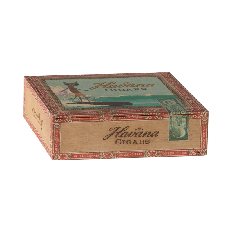 Grandma and grandpa mice in cigarbox