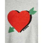 Arrowed heart chenille sweatshirt