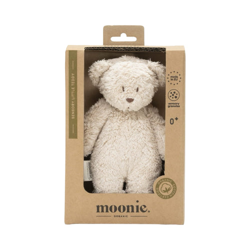 Sensory little Teddy