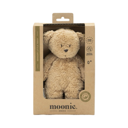 Sensory little Teddy