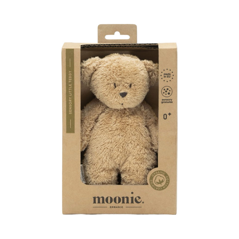 Petit ours sensoriel
