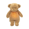 Organic humming bear with a lamp 2.0
