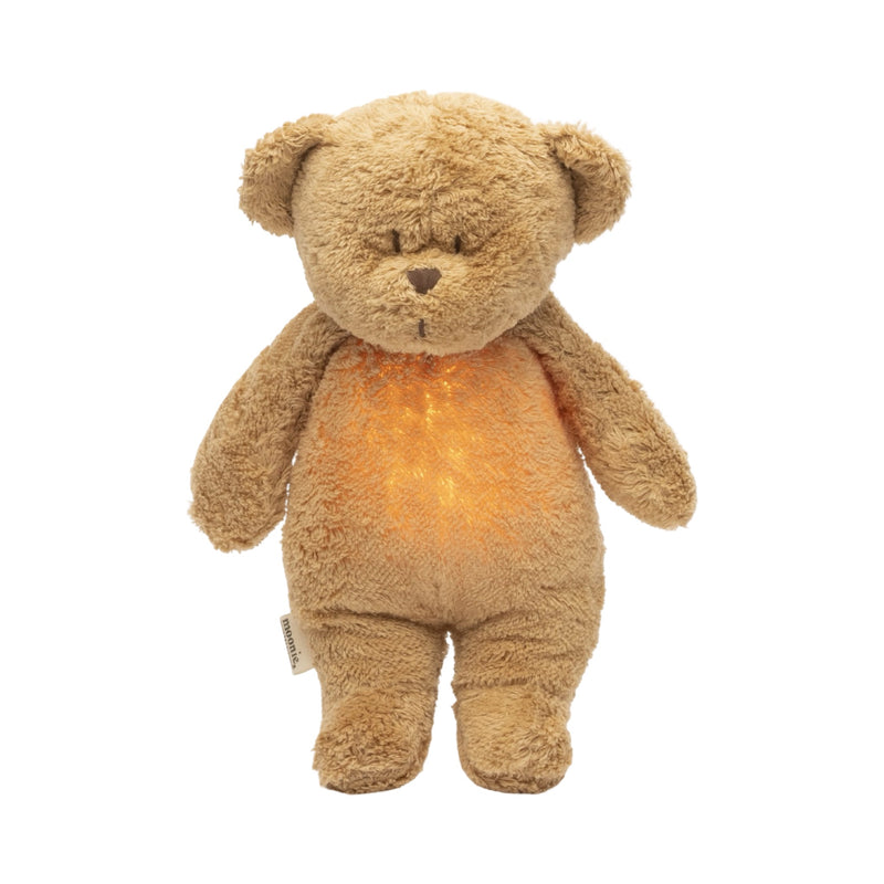 Organic humming bear with a lamp 2.0