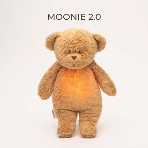 Organic humming bear with a lamp 2.0
