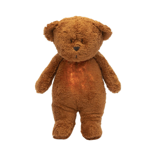 Organic humming bear with a lamp 2.0