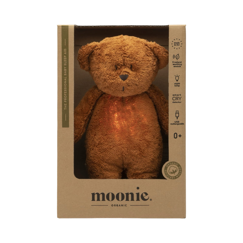 Organic humming bear with a lamp 2.0