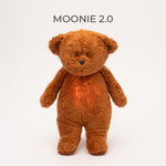 Organic humming bear with a lamp 2.0