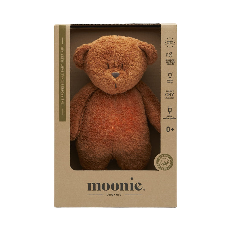 Organic humming bear with a lamp 2.0