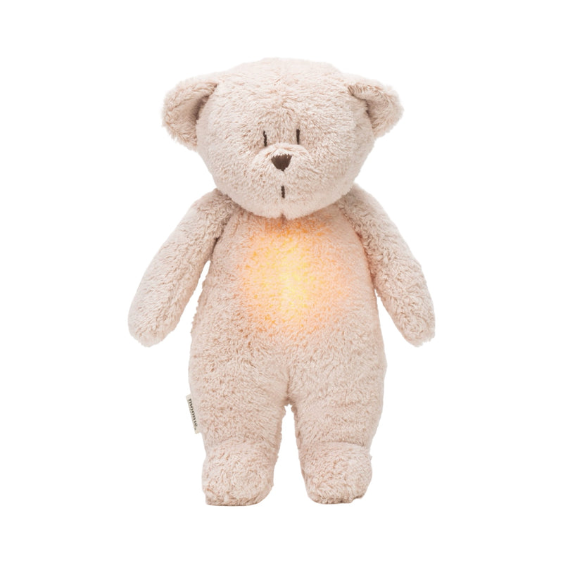 Organic humming bear with a lamp 2.0
