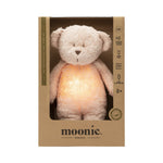 Organic humming bear with a lamp 2.0