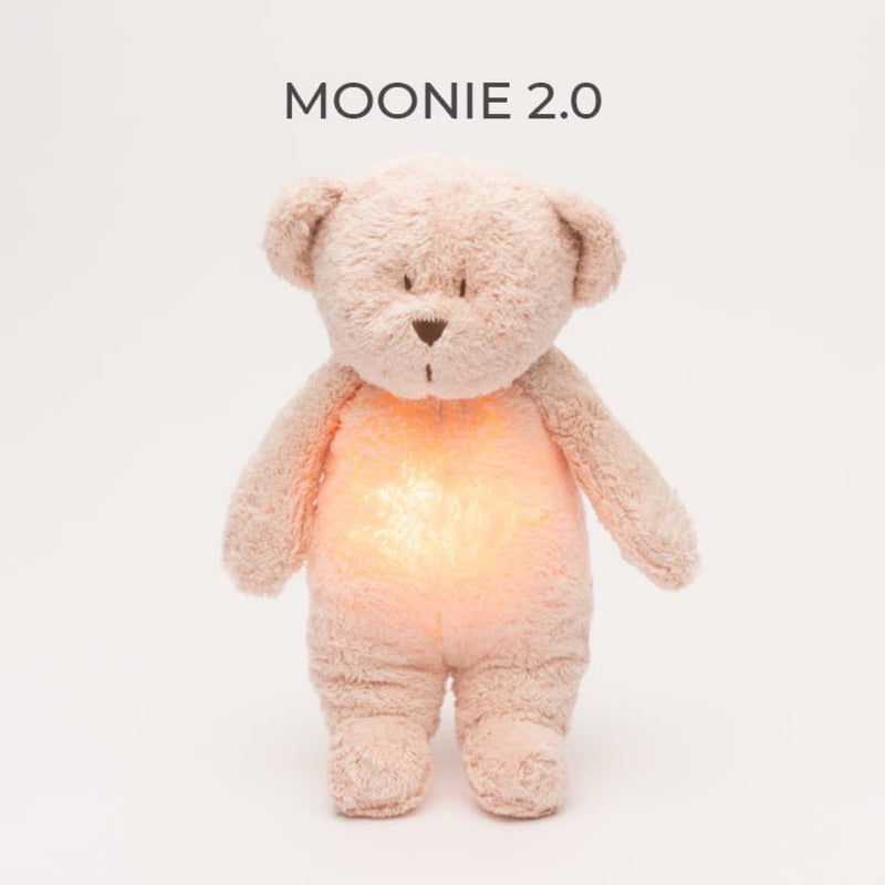 Organic humming bear with a lamp 2.0