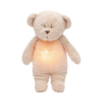 Organic humming bear with a lamp 2.0