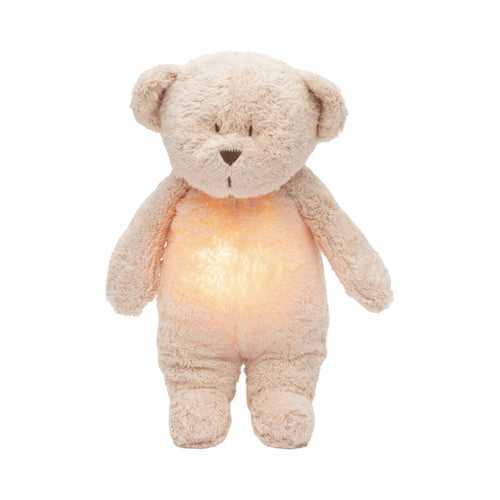 Organic humming bear with a lamp 2.0