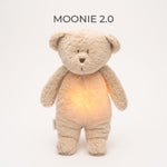 Organic humming bear with a lamp 2.0