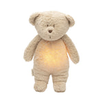 Organic humming bear with a lamp 2.0