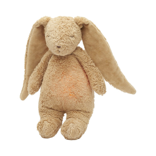Organic humming bunny with a lamp 2.0