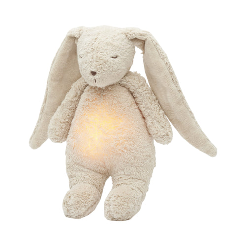 Organic humming bunny with a lamp 2.0