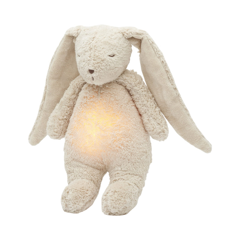 Organic humming bunny with a lamp 2.0