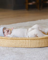 Pyjama pour bébé à micro rayures Oat