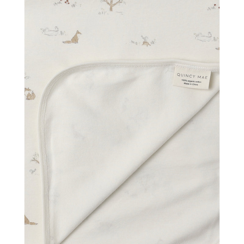 Couverture Fox land
