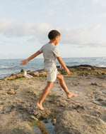 Sage stripe boardshort