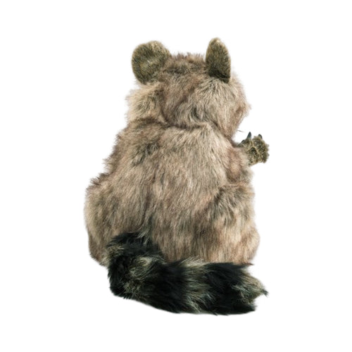 Raton laveur