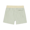 Sage stripe boardshort