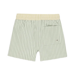 Sage stripe boardshort