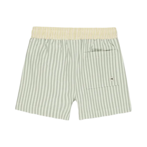 Boardshort Sage stripe