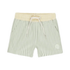 Sage stripe boardshort