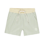 Sage stripe boardshort