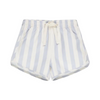 Blue Stripe swim trunk