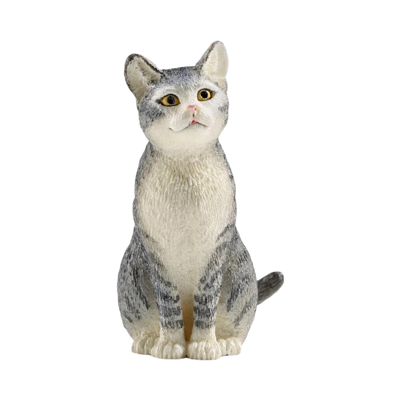 Cat sitting