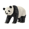 Giant panda