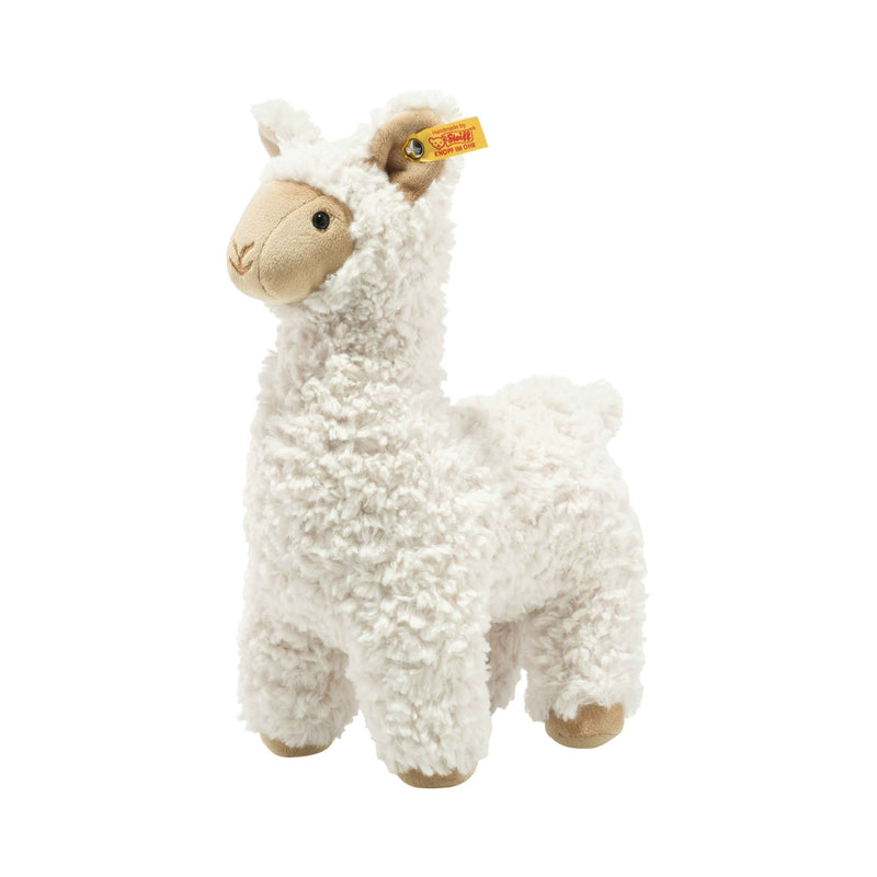 Leandro llama