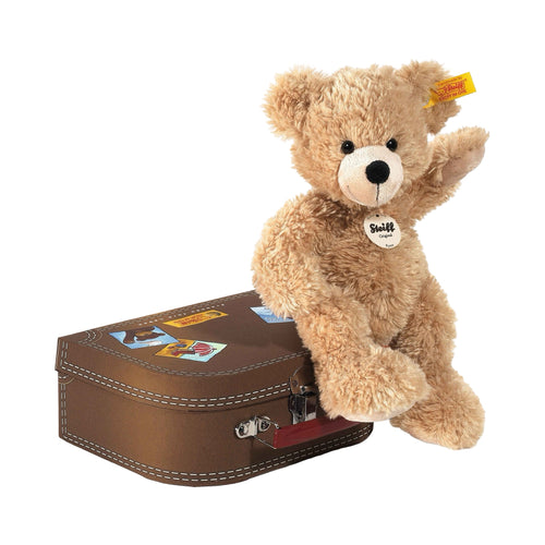 Fynn teddy bear in suitcase