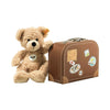 Fynn teddy bear in suitcase