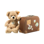 Fynn teddy bear in suitcase